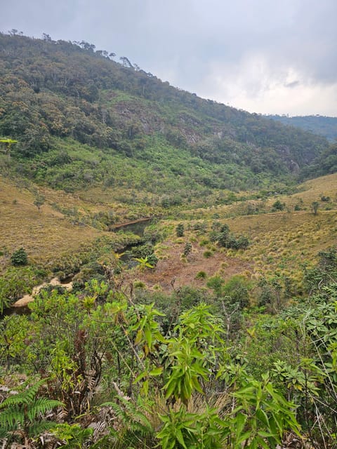 Day Tour of Horton Plains National Park With Breakfast - Experience and Highlights