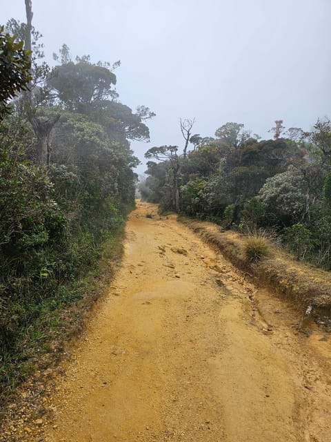 Day Tour of Horton Plains National Park With Breakfast - Inclusions and Exclusions