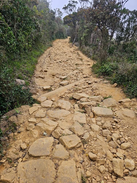 Day Tour of Horton Plains National Park With Breakfast - Pickup and Breakfast