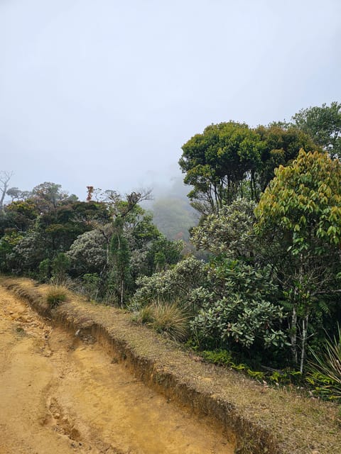 Day Tour of Horton Plains National Park With Breakfast - Guided Hike Through the Park