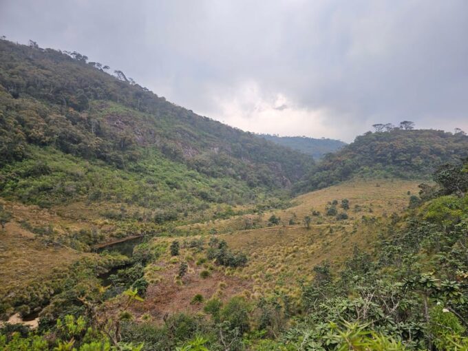 Day Tour of Horton Plains National Park With Breakfast - Frequently Asked Questions