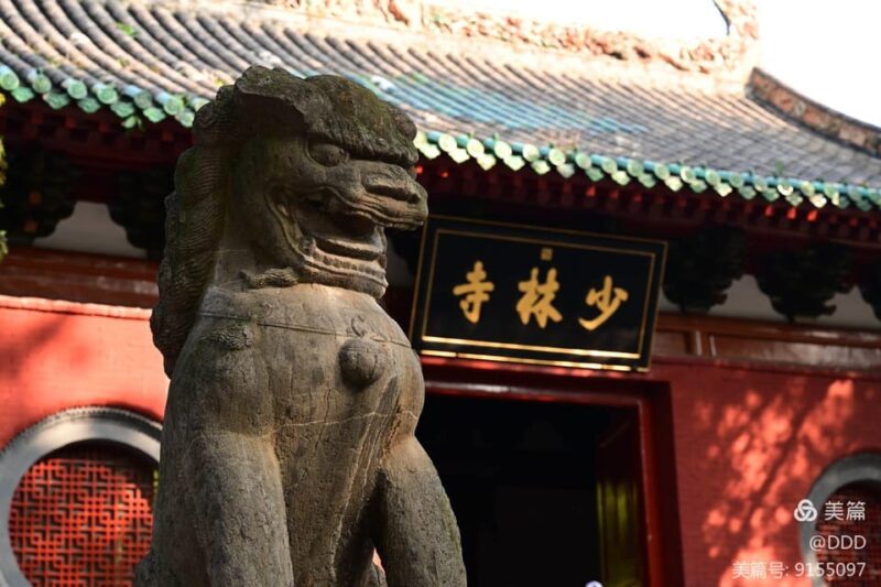 Day Tour of Luoyang Shaolin Temple and Longmen Grottoes - Itinerary
