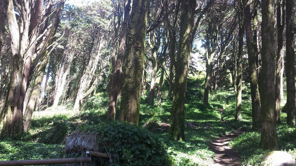 Day-Tour: Sintra Region and Cascais - Inclusions and Important Information