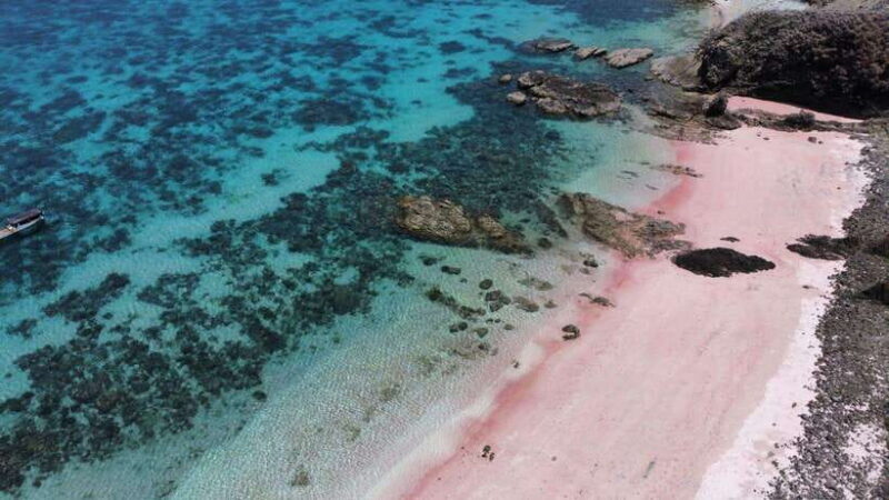 Day Tour Southeast,Lombok Pink Beach& Gili Island - The Experience — What You’ll See and Feel