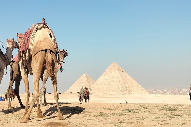 Day Tour To Giza Pyramids Review - Customer Reviews