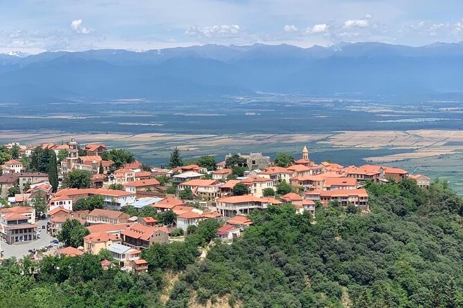 Day Tour to Kakheti Wine Region Georgia - Tasting Georgias Ancient Wine Tradition