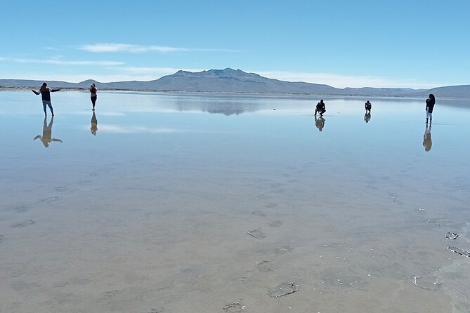 Day Tour to Laguna De Salinas - Flamingos and Other Birds