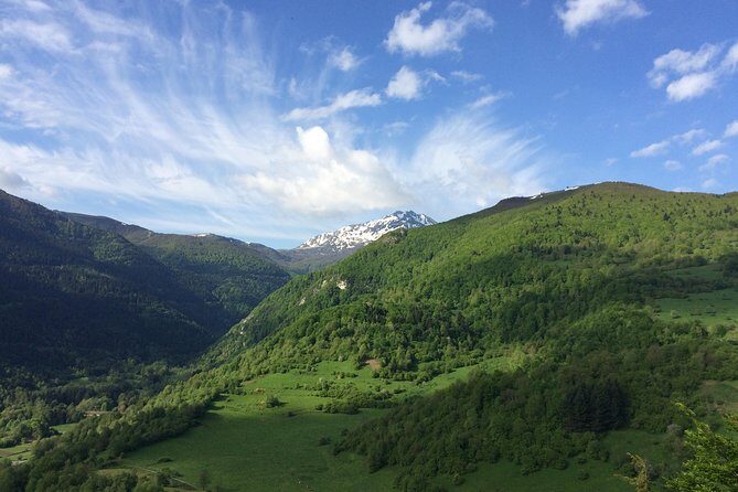 Day Tour to Mirepoix, Montségur, Camon. Private tour from Carcassonne - Introduction: A Day of Medieval Wonder and Scenic Charm