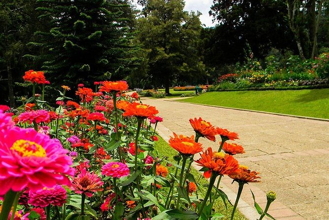 Day Tour to Nuwara Eliya From Kandy by Lux Tours Lanka - Booking Process