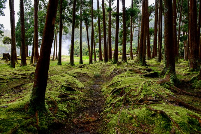 Day Tour to the Amazing Sete Cidades - Essential Tips for Travelers