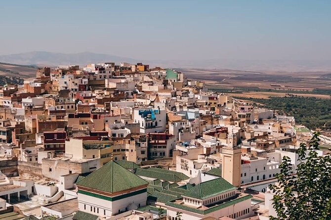 Day Tour to Volubilis & Meknes From Fes - Customer Reviews