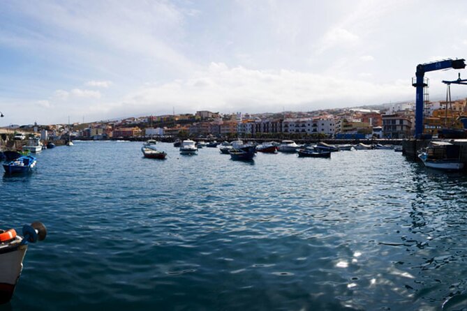 Day Tour With Official Guide Around the Island of Tenerife - Inclusions and Pricing