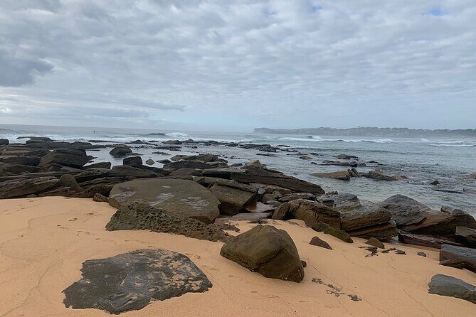 Day Tours Anna Bay and Nelson Bay Port Macquarie North Coast NSW - Final Thoughts: Is This Tour for You?