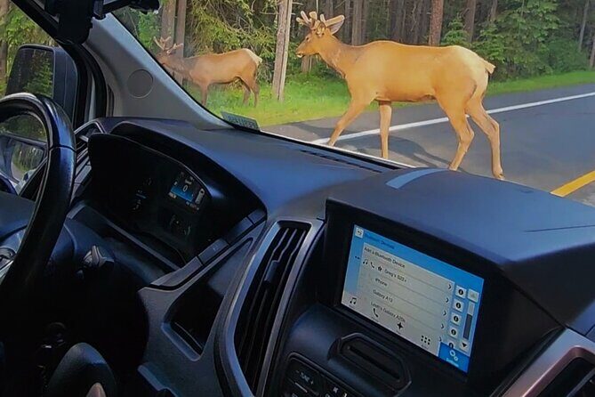 Day Tours in Banff National Park - Who This Tour Is Best For