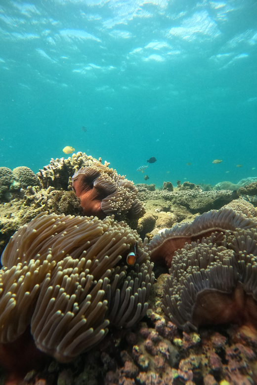Day Trip 5 Secret Giilis in West South of Lombok - What to Bring