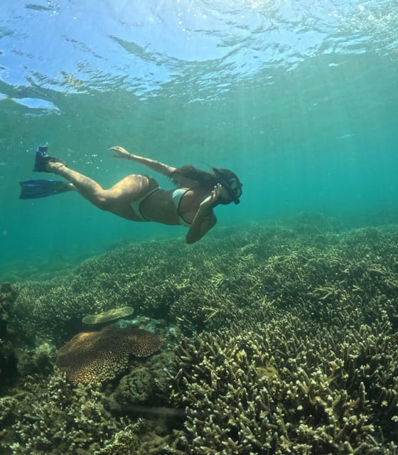 Day Trip 5 Secret Giilis in West South of Lombok - Customer Reviews