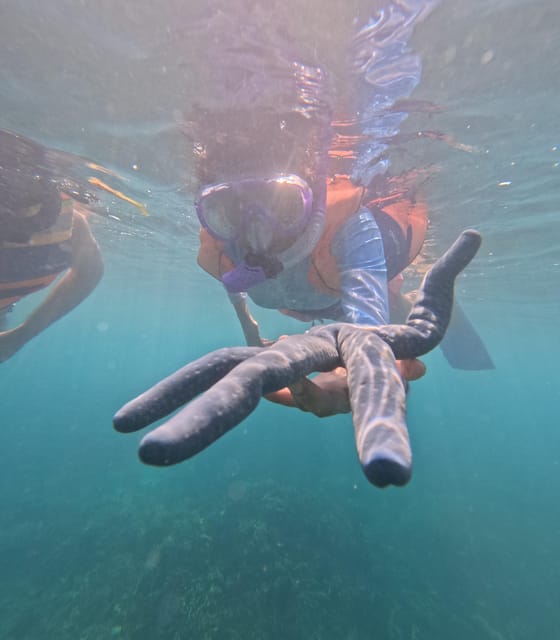 Day Trip 5 Secret Giilis in West South of Lombok - Frequently Asked Questions