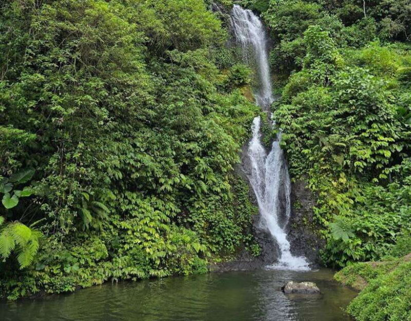 day trip bali: ulundanu,handara gate,banyumala waterfalls - Key Points