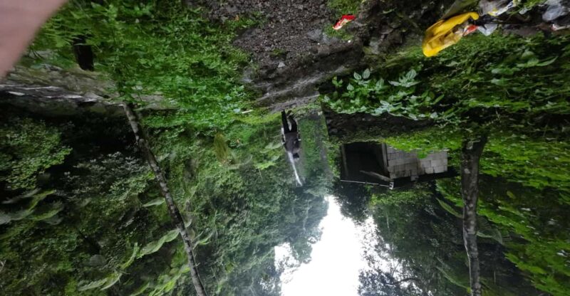 Day Trip Bogor Jakarta Waterfall All In - Tour Guide - Good To Know