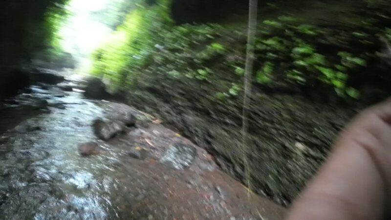 Day Trip Bogor Jakarta Waterfall All In - Tour Guide - Booking Information