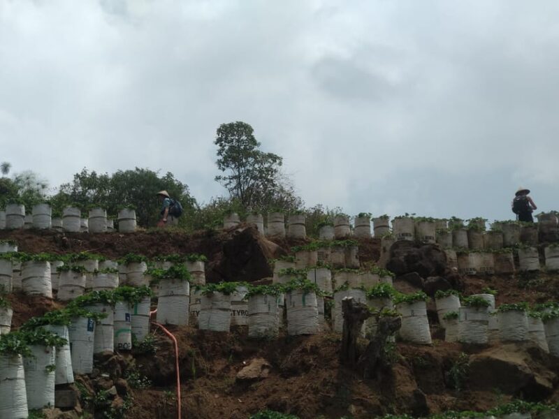 Day Trip Bogor Jakarta Waterfall All In - Tour Guide - Important Notes