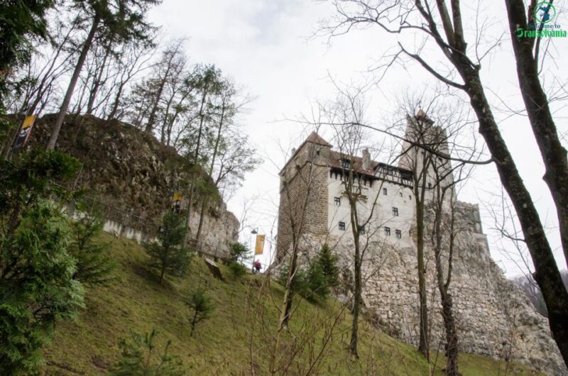 Day Trip Bran Castle, Rasnov Fortress and Bear Sanctuary - Good To Know