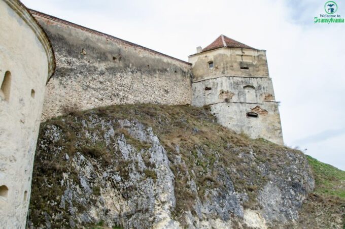 Day Trip Bran Castle, Rasnov Fortress and Bear Sanctuary - Customer Feedback