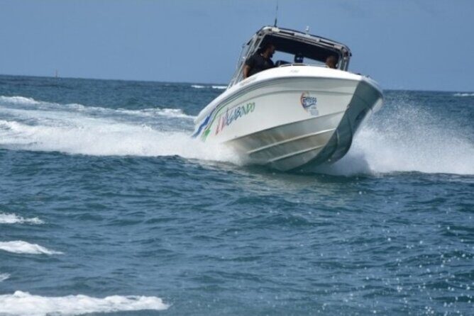 Day Trip by Boat from Le Robert - Who Should Consider This Tour?