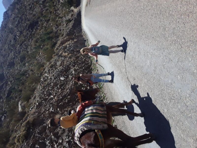 Day Trip by Mule in the Imlil Valley. - Mule Riding Experience
