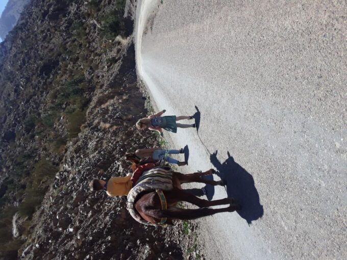 Day Trip by Mule in the Imlil Valley. - Frequently Asked Questions