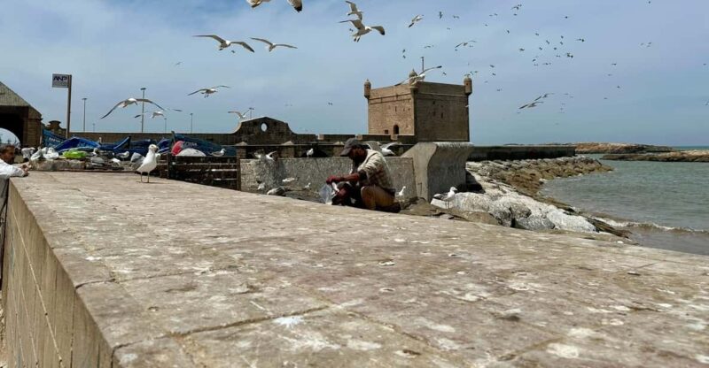 DAY TRIP ESSAOUIRA FROM MARRAKECH PRIVATE TOUR - Good To Know
