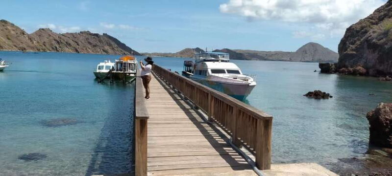 Day Trip Explore Komodo National Park by Private Speed Boat - How the Tour Unfolds: A Day in the Park