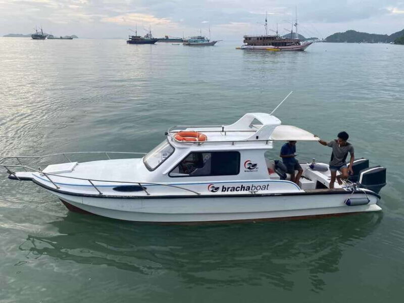 Day Trip Explore Komodo National Park by Private Speed Boat - Practical Details and Tips for Travelers