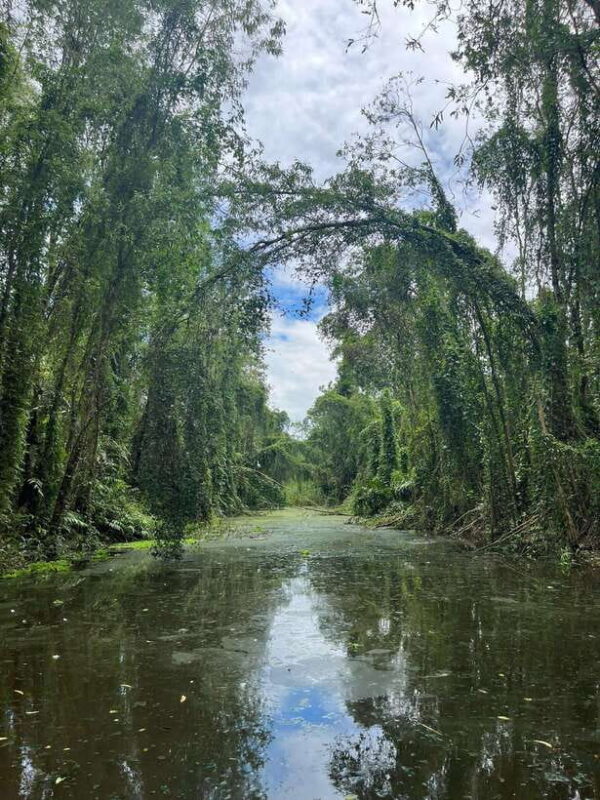 Day Trip: Floating Market & Mua Xuan Forest Half-Day Tour - Stroll Through Mua Xuan Forest