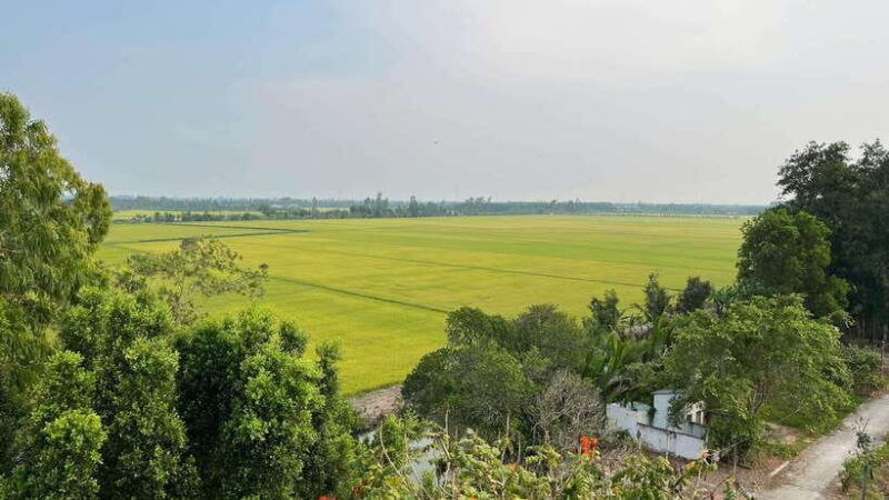 Day Trip: Floating Market & Mua Xuan Forest Half-Day Tour - Convenient Hotel Pickup and Drop-Off