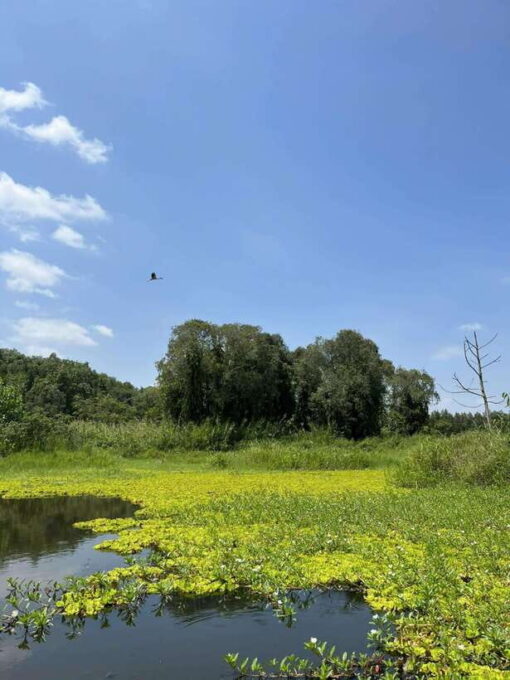 Day Trip: Floating Market & Mua Xuan Forest Half-Day Tour - Tour Inclusions