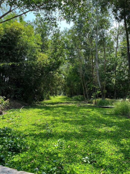 Day Trip: Floating Market & Mua Xuan Forest Half-Day Tour - Preparation and Requirements