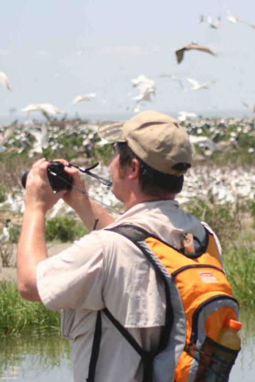 Day Trip from Boston: Guided Nature Walk at Crane Estate - The Logistics: Transportation, Timing, and Group Size