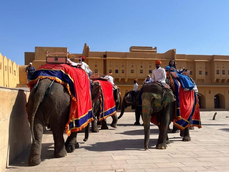 Day Trip From Delhi to Jaipur by Car With a Language Guide - Transportation and Accessibility