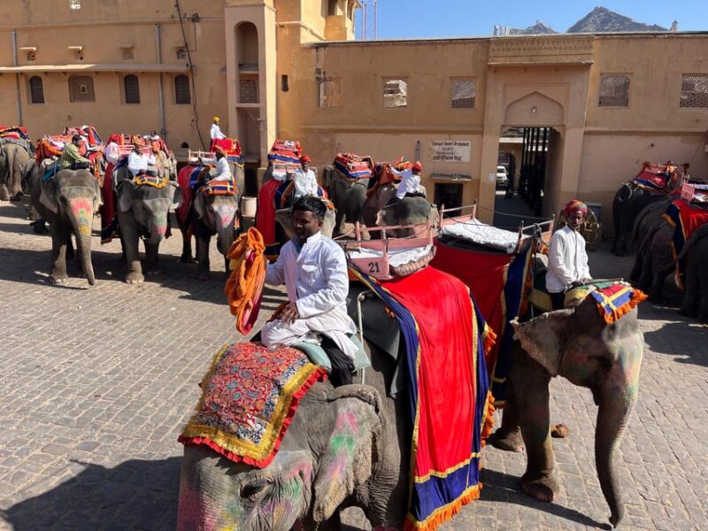 Day Trip From Delhi to Jaipur by Car With a Language Guide - The Sum Up