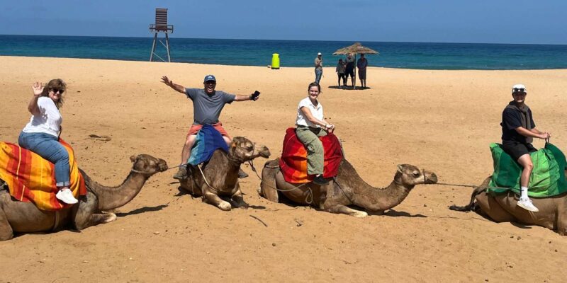 Day Trip From Estepona to Tangier Including the Ferry Ticket - Booking Information