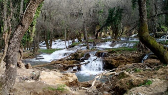 Day Trip From Fez To The Middle Atlas Mountains - Hiking Opportunities in Azrou