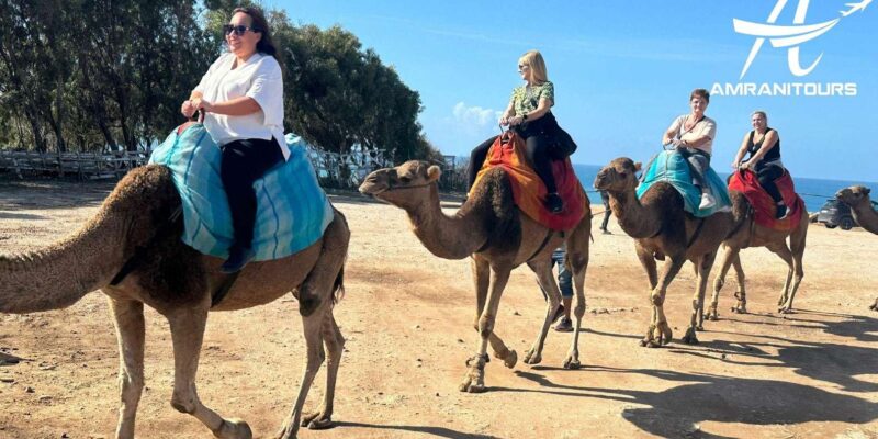 Day Trip From Gibraltar to Morocco All Inclusive - Itinerary Highlights