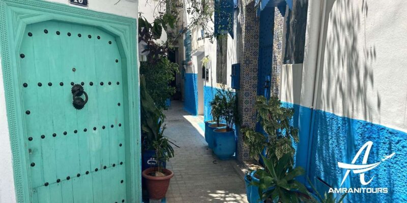Day Trip From Gibraltar to Morocco All Inclusive - Traveler Reviews