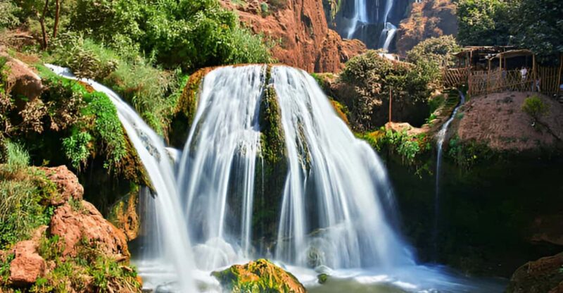 Day Trip From Marrakech to Ouzoud Falls - Experience Highlights