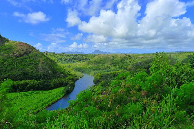 Day Trip From Oahu to Kauai: Waimea Canyon & Wailua River - Cruising the Wailua River