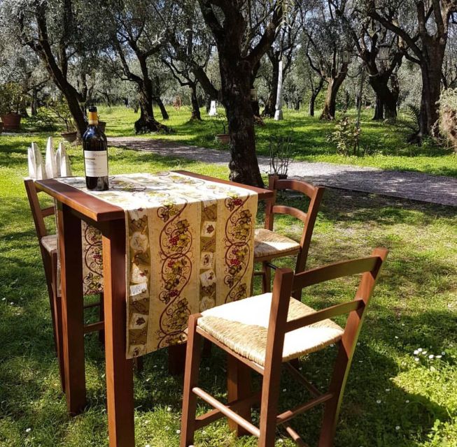 DAY TRIP FROM PISA TO PIETRASANTA WITH WINE TASTING - Transport Back to Pisa Centrale