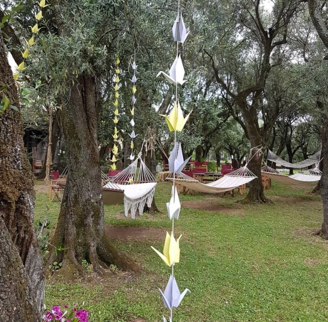 DAY TRIP FROM PISA TO PIETRASANTA WITH WINE TASTING - Highlights of the Experience