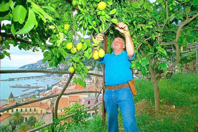 Day Trip From Rome: Amalfi Coast With Boat Hopping & Limoncello - Guest Reviews