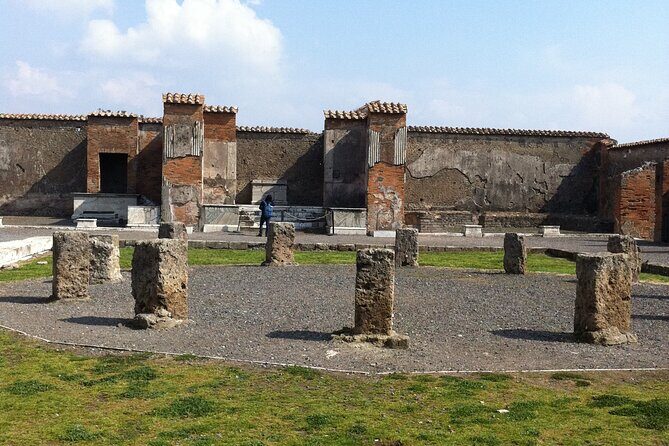 Day trip from Rome to Pompei Mt Vesuvius & Local Guide included - The Sum Up: Is This Tour Right for You?